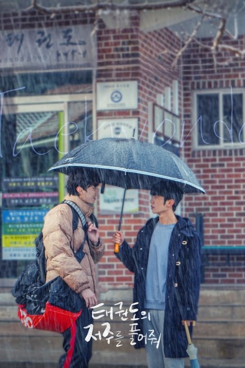 태권도의 저주를 풀어줘 포스터