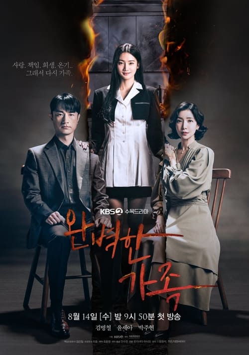 완벽한 가족 포스터