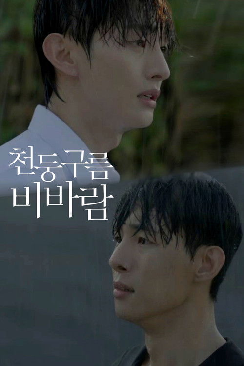 천둥구름 비바람 포스터