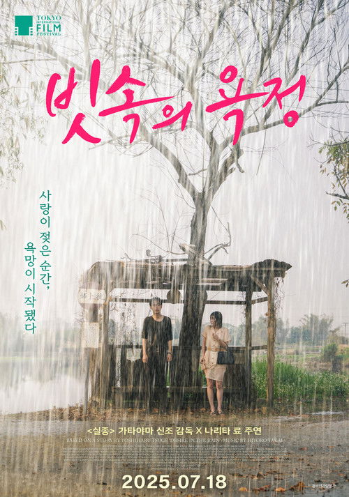 빗속의 욕정 포스터