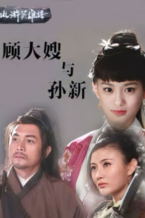 수호지-천하대영웅 손신 포스터