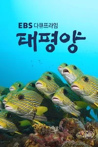 태평양 | EBS 다큐프라임 시즌 1 포스터