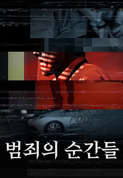 범죄의 순간들 포스터