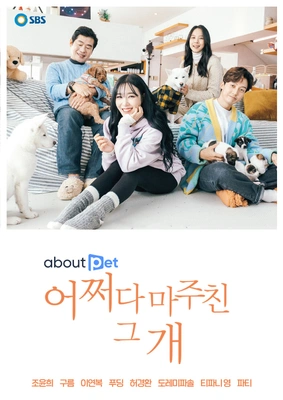 어쩌다 마주친 그 개 포스터