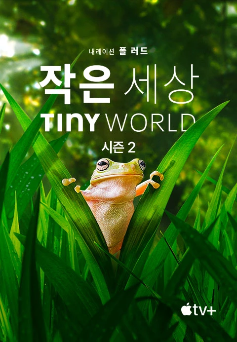 작은 세상 시즌 2 포스터