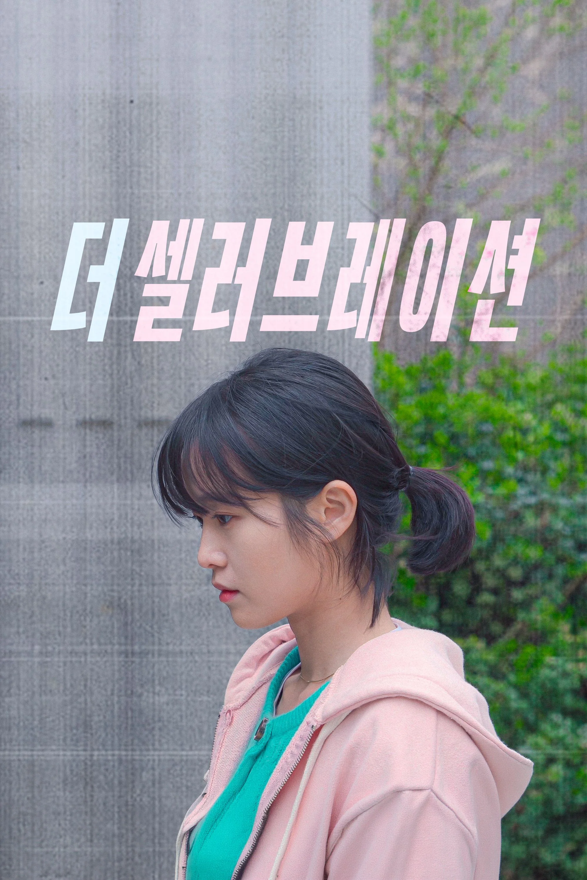 더 셀러브레이션 포스터