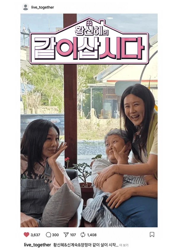 황신혜의 같이 삽시다 포스터