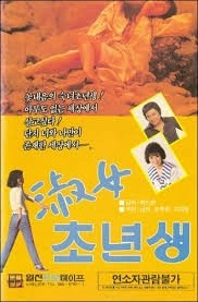 숙녀 초년생 포스터