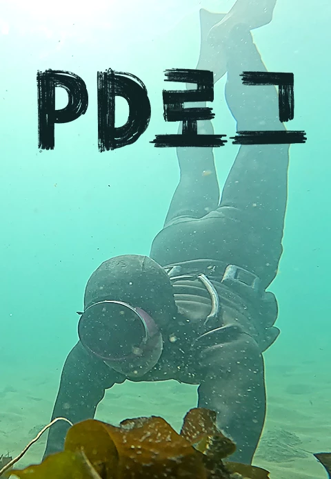 PD로그 포스터