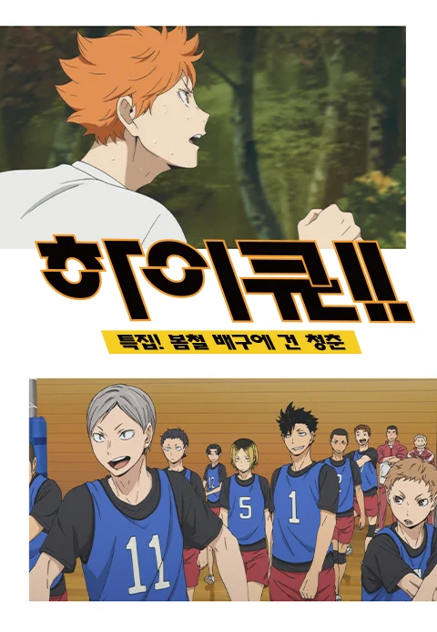 하이큐!! 특집! 봄철 배구에 건 청춘 포스터