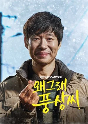 왜그래 풍상씨 포스터