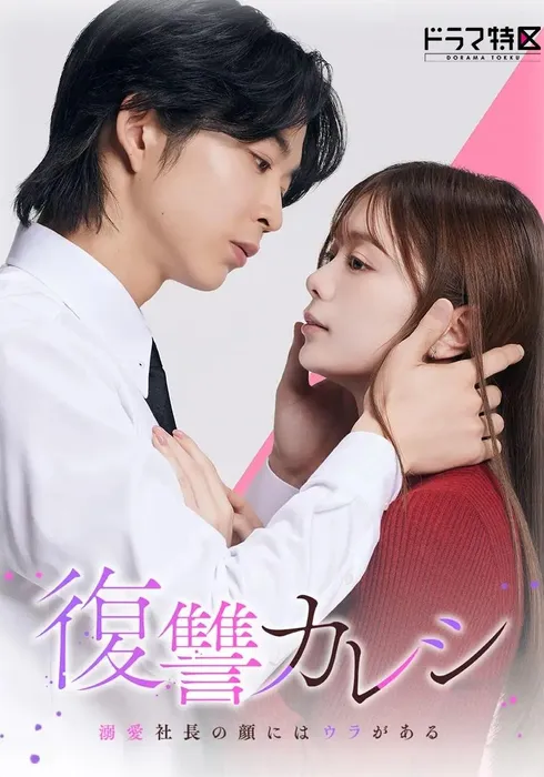 복수 남친～익애 사장의 얼굴에는 뒤가 있다～ 포스터
