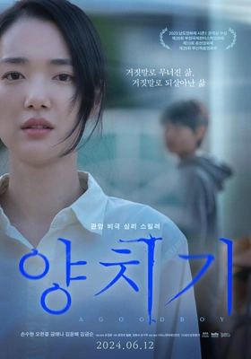 양치기 포스터