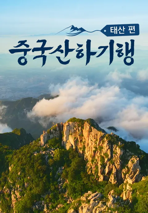 중국산하기행 태산편 포스터