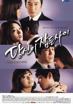 당신이 잠든사이 포스터