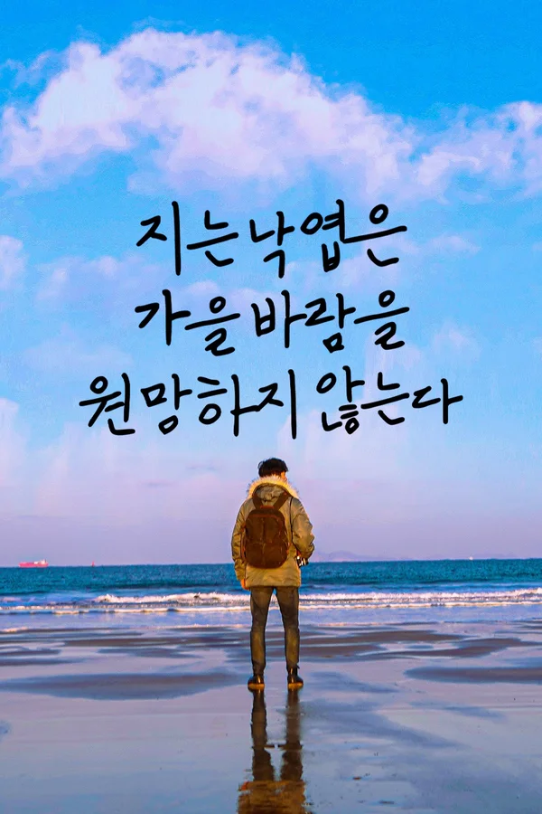 지는낙엽은 가을바람을 원망하지 않는다 포스터