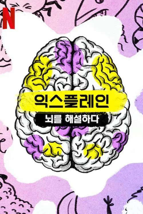 익스플레인: 뇌를 해설하다 포스터