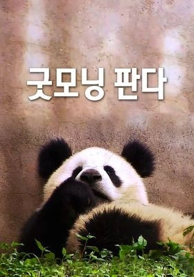 굿모닝 판다 포스터