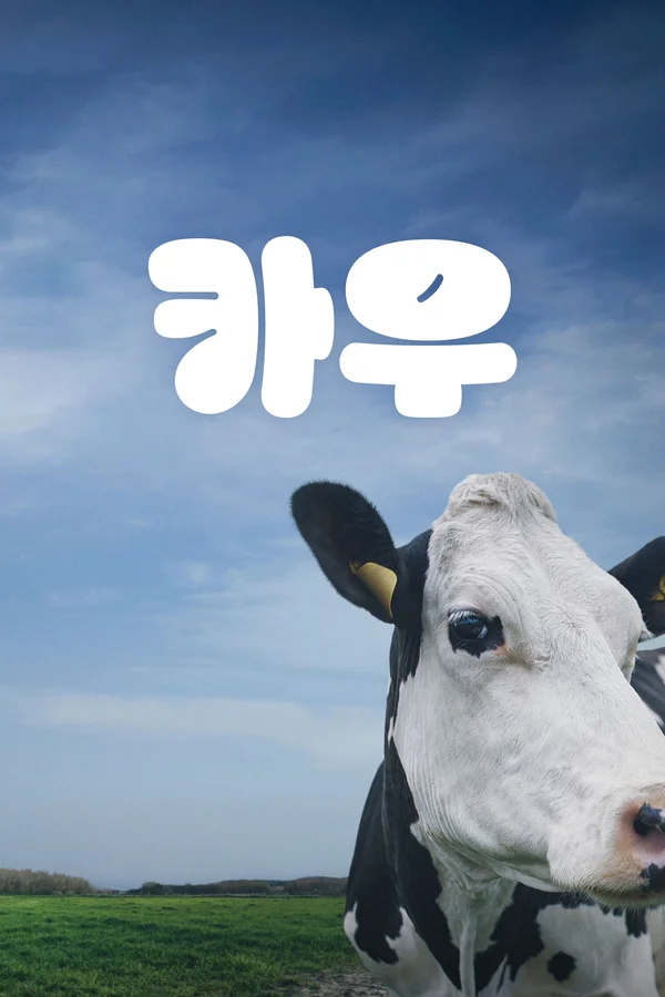 카우 포스터