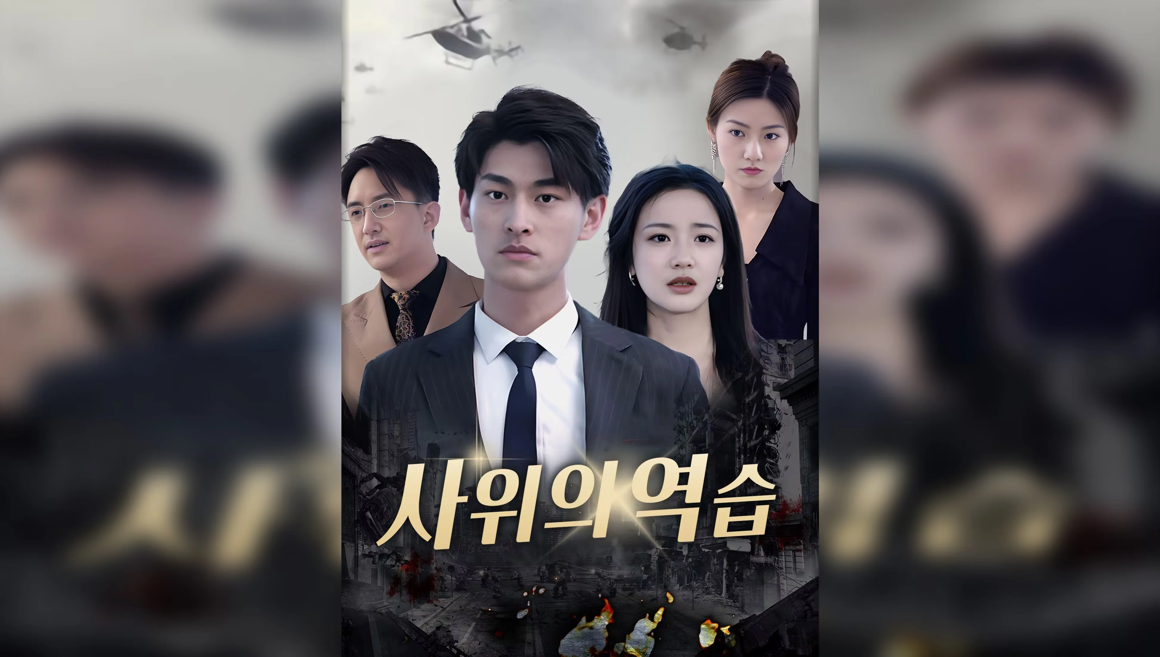 사위의 역습 포스터