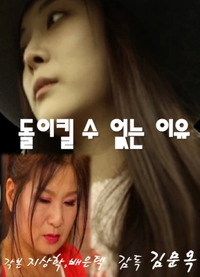 돌이킬 수 없는 이유 포스터