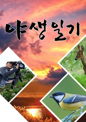 야생일기 포스터
