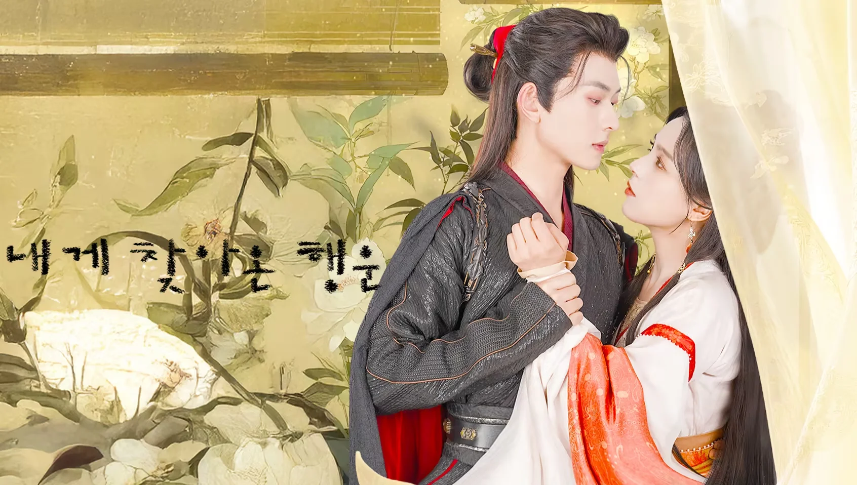 내게 찾아온 행운 포스터