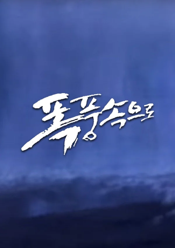 폭풍 속으로 포스터