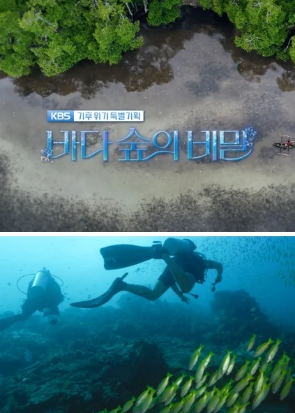 기후위기 특별기획 바다숲의 비밀 포스터