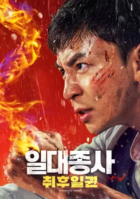 일대종사: 취후일권 포스터
