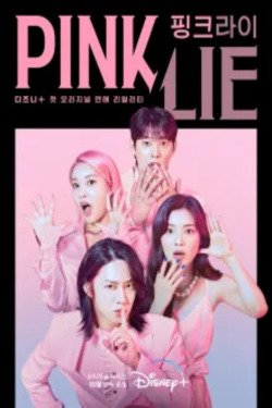핑크 라이 포스터