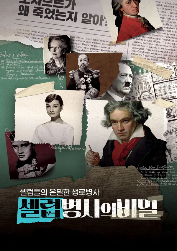 셀럽병사의 비밀 포스터