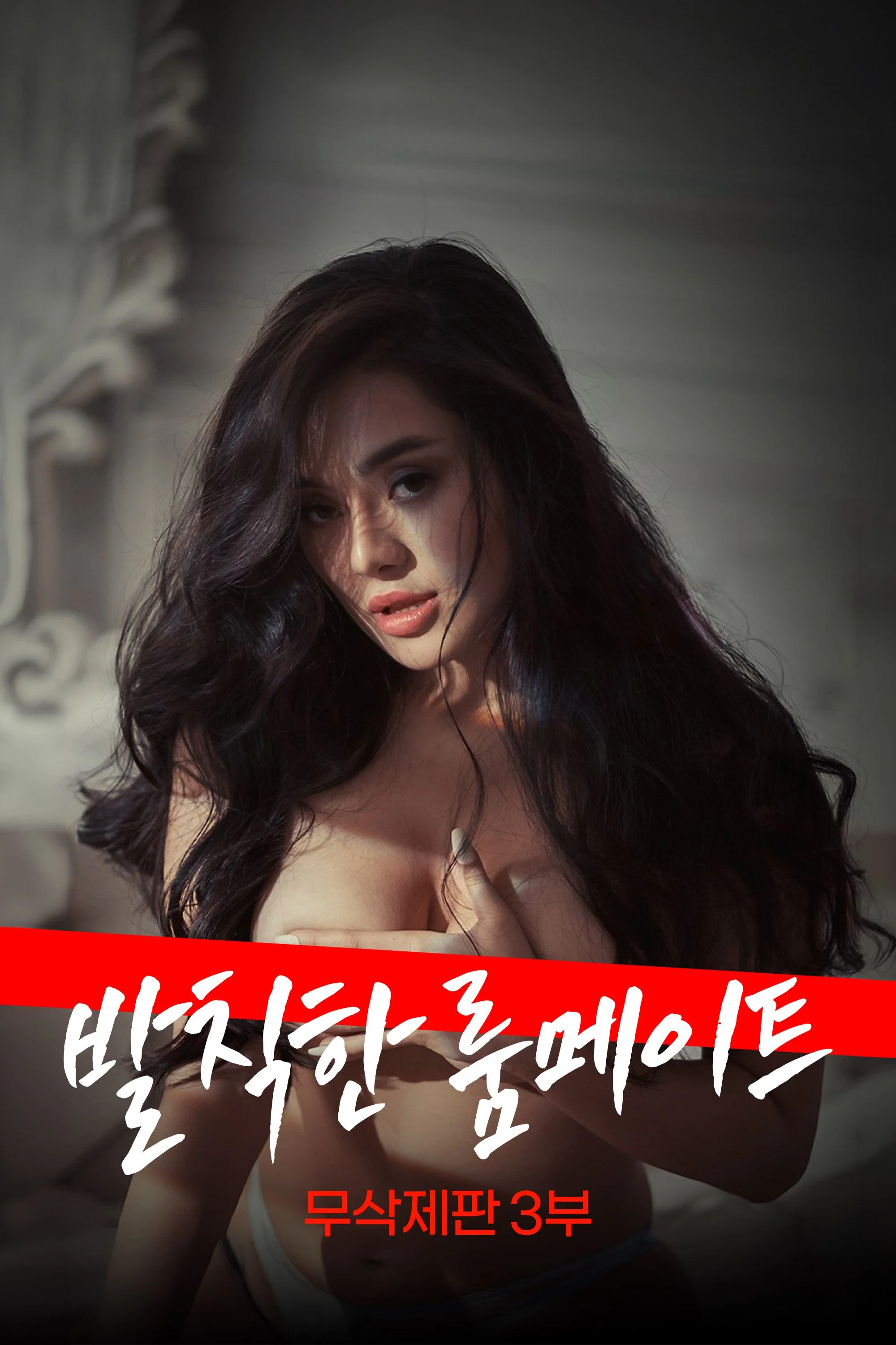 발칙한 룸메이트 3부 포스터