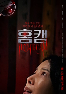 홈캠 포스터