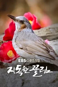 창사특집 지독한 끌림 | 다큐프라임 시즌 1 포스터