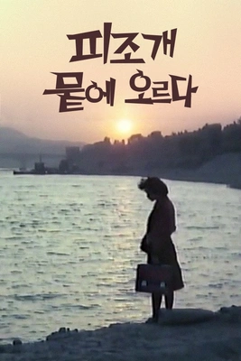 피조개 뭍에 오르다 포스터