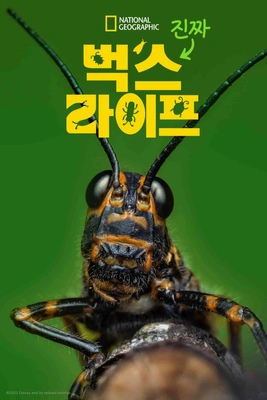 진짜 벅스 라이프 시즌 2 포스터
