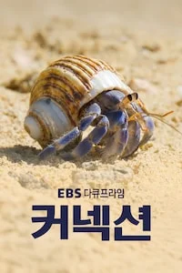 커넥션 | 다큐프라임 시즌 1 포스터