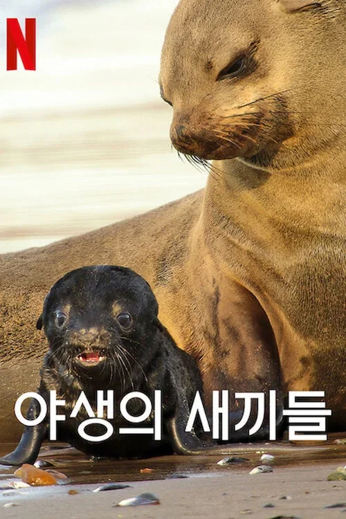 야생의 새끼들 포스터