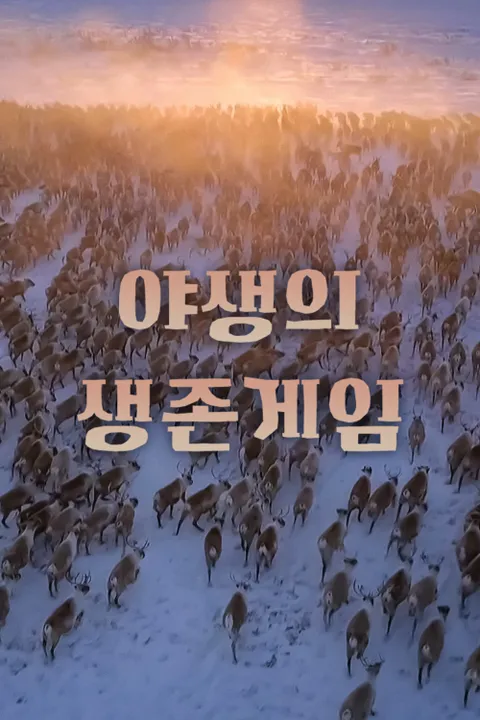 야생의 생존게임 포스터