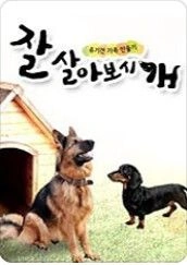 잘살아보시개 시즌1 포스터