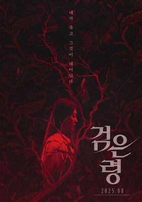 검은 령 포스터