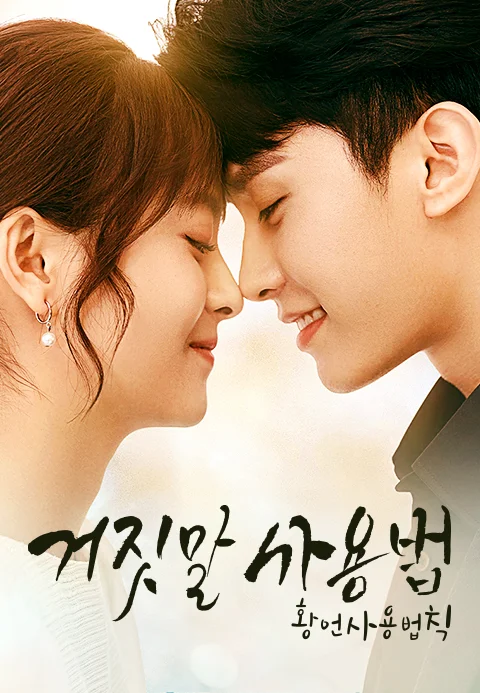 거짓말 사용법: 황언사용법칙 포스터