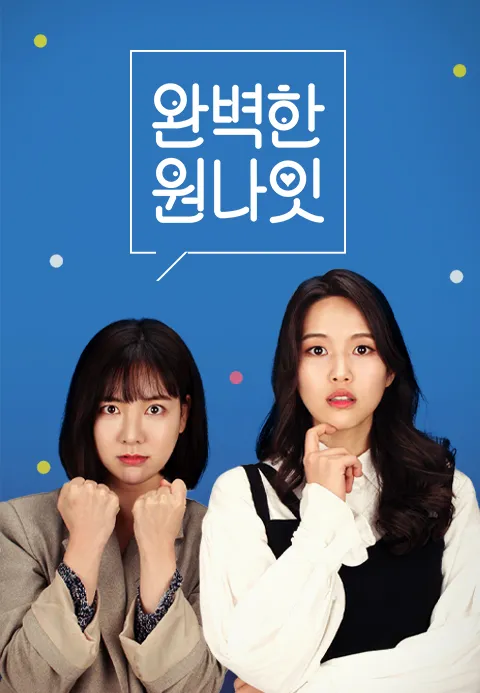 완벽한 원나잇 포스터