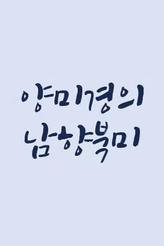 양미경의 남향북미 포스터