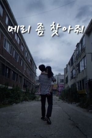 메리 좀 찾아줘 포스터