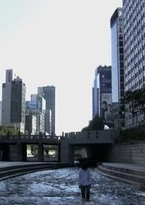 청계천의 개 포스터