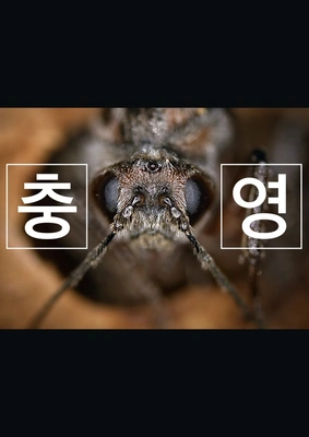 충영 포스터