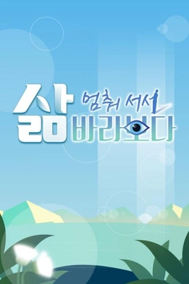 삶, 멈춰 서서 바라보다 포스터
