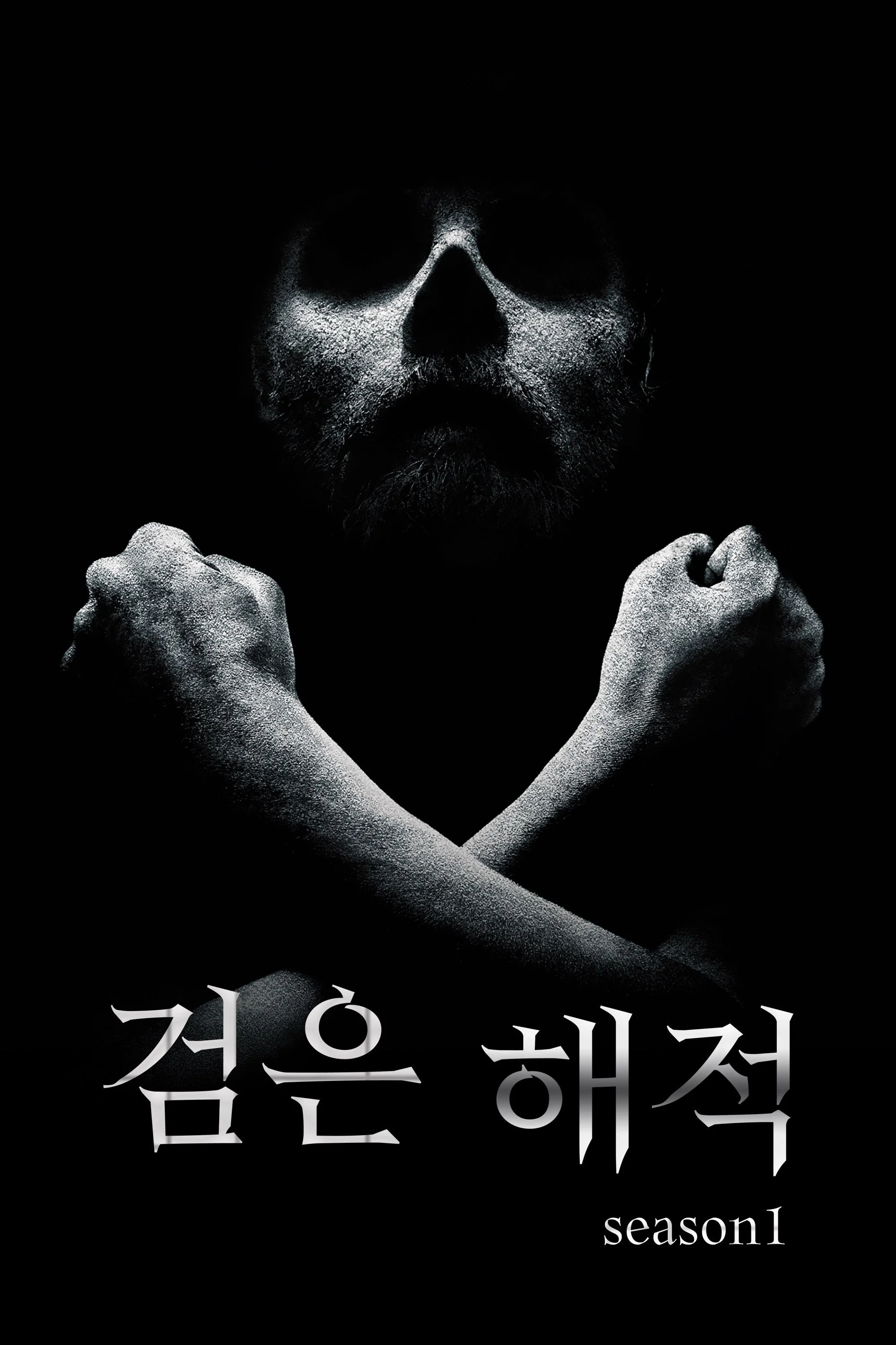 검은 해적 포스터